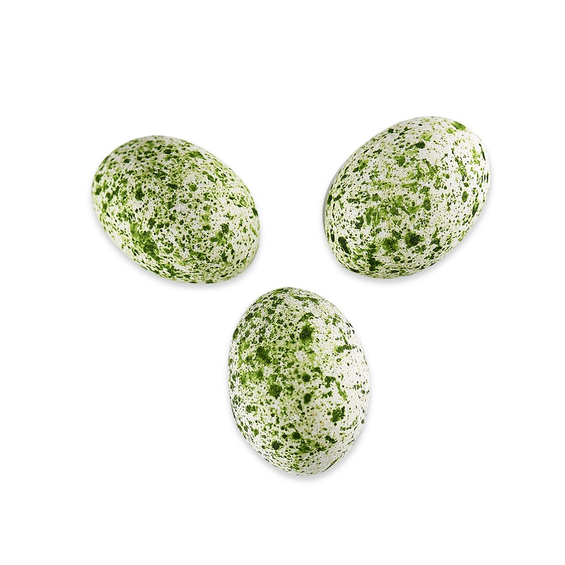oeuf dragéifié pistache oeuf-dragéifié-pistache