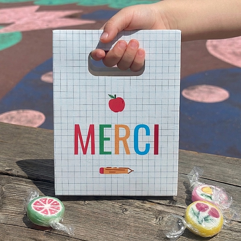 pochette-merci-maitresse