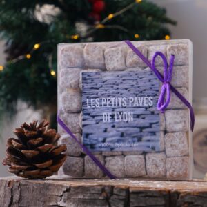 Les Petits pavés de Lyon