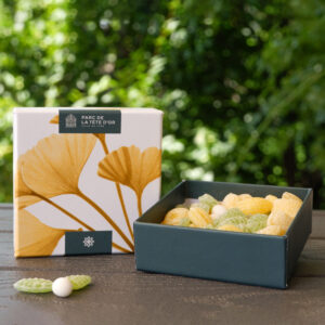 coffret jaune-parc-tete-or-violette-berlingot