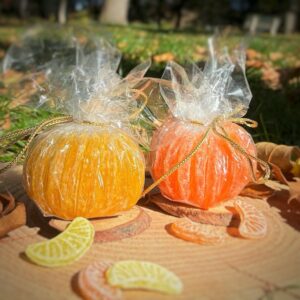 orange-clementine-mandarine-citron-reconstitues